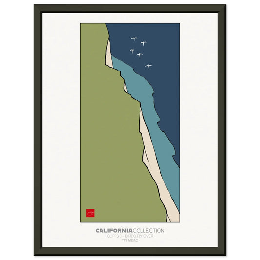 Cliffs 3 "Birds Fly Over" by TFI MEAD Mead Design Gallery